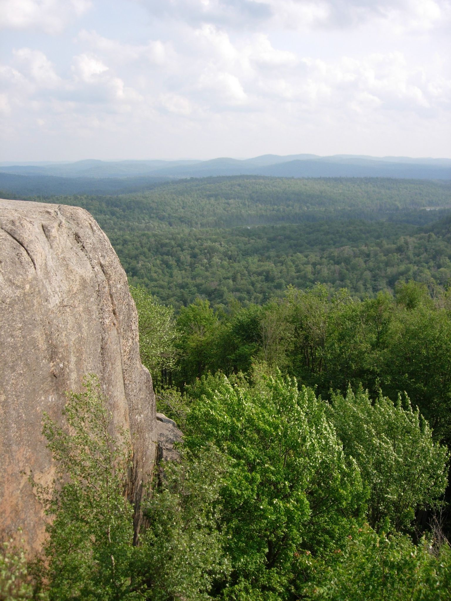 A large rock face overlooks a vast green forest under a bright, cloudy sky. - Cat Mountain Trail