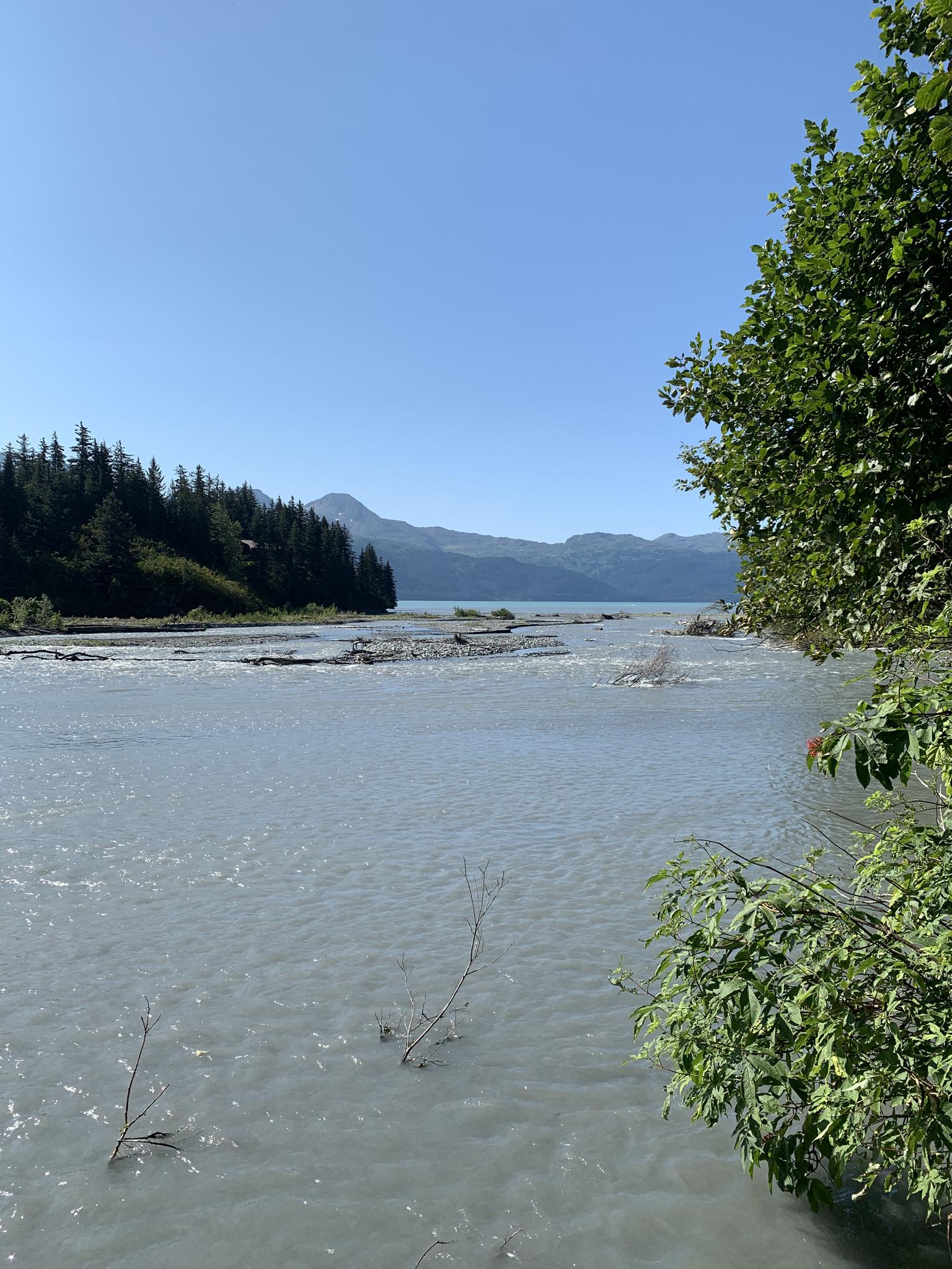 A wide, light-colored river flows past forested shores and distant mountains.