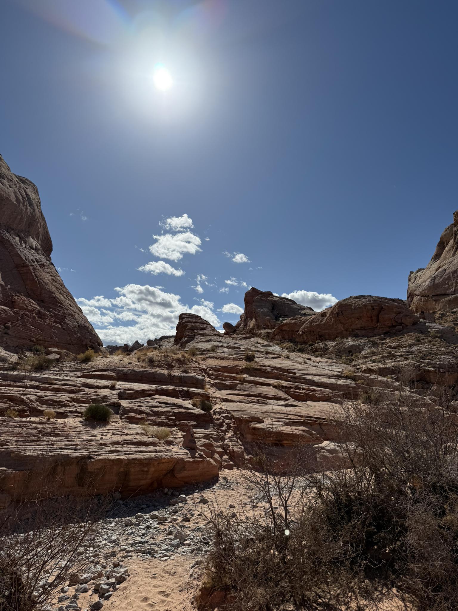 Bright desert landscape with red rock formations, sparse plants, and a sunny sky.
