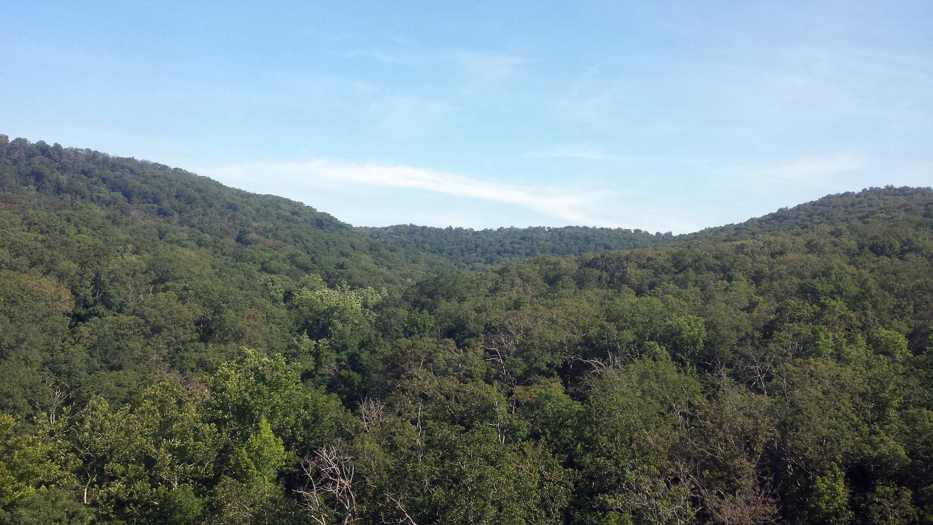 Dense green forested hills under a clear blue sky on a bright day.