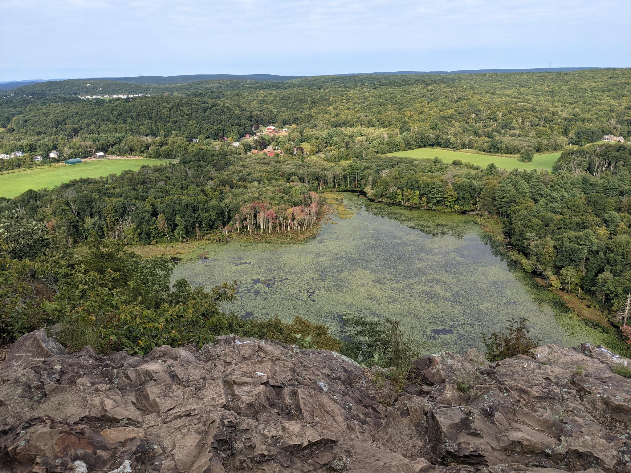 Rocky overlook above a swampy lake, surrounded by vast green forests.