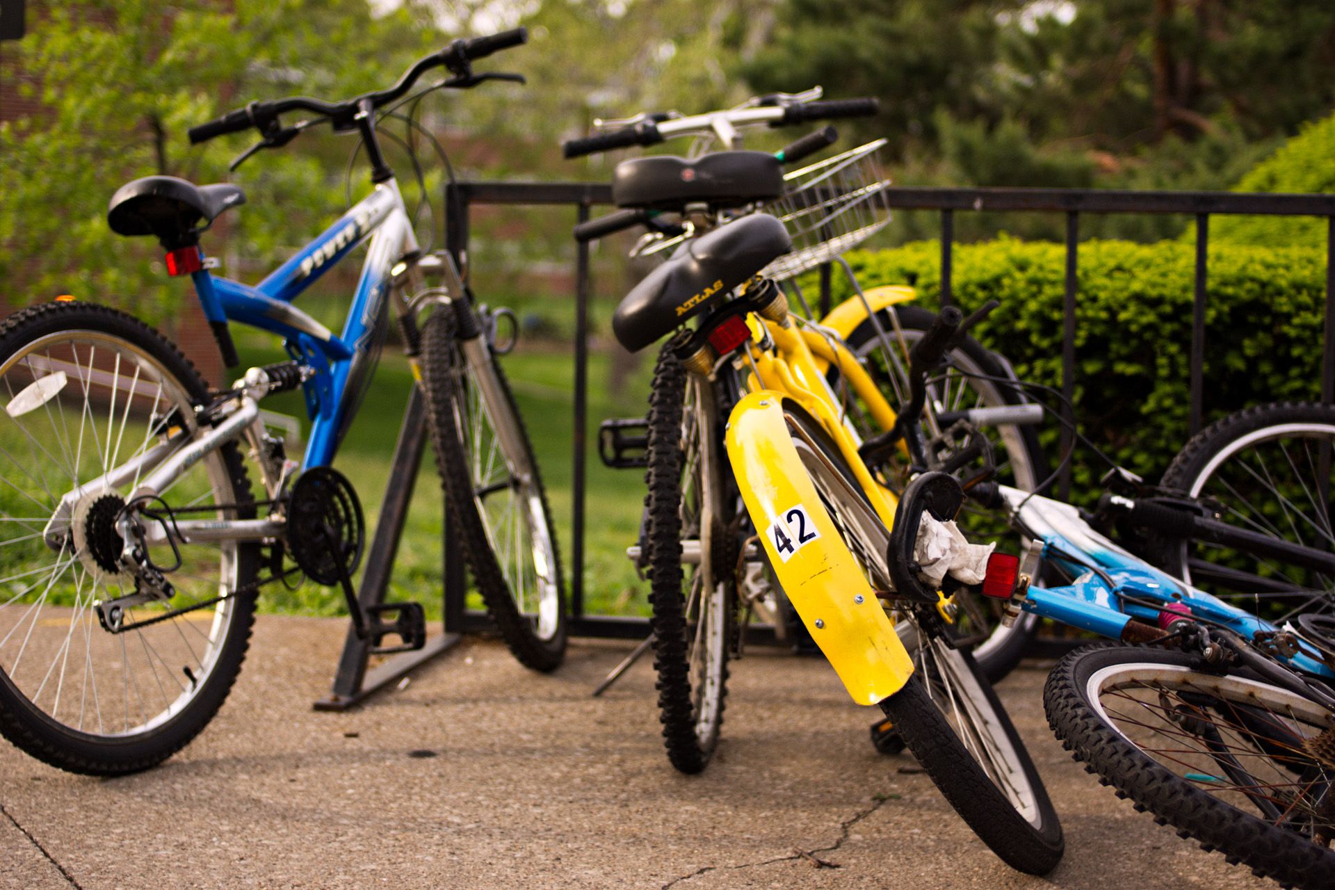 Multiple bicycles parked outdoors near a black fence and green bushes. - Brighton and Liberty Trails Loop