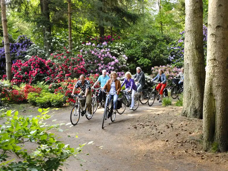 Rhododendron-Route | Fahrradtour | Komoot