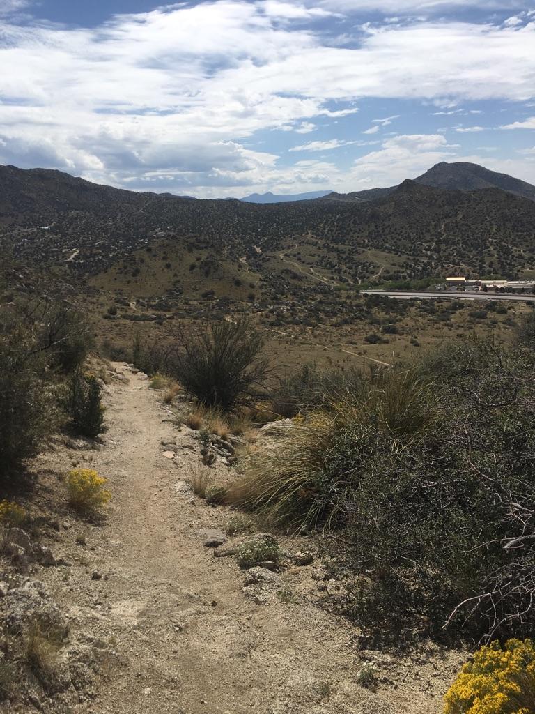Dirt path winding through desert shrubs towards distant mountains under cloudy sky.