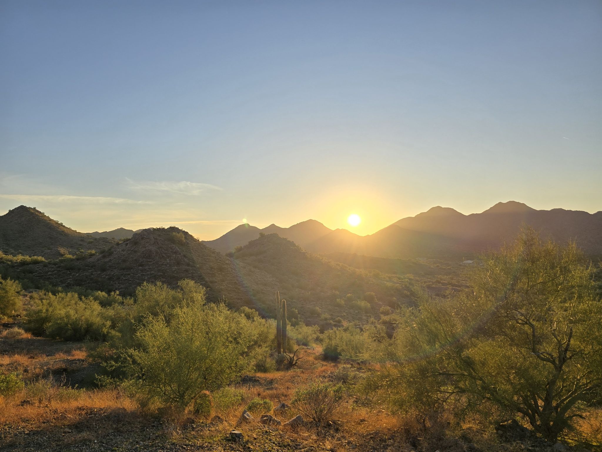 Golden sunset over desert mountains, casting warm light on sparse vegetation. - Dynamite Trail – Hedgehog Trail loop from Chandler Heights