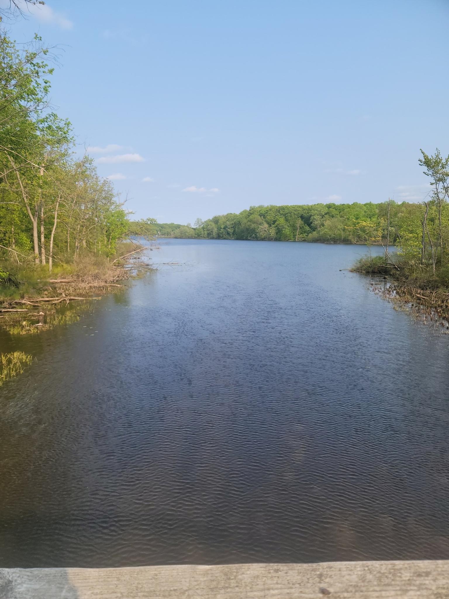 Wide river or lake surrounded by lush green trees under a blue sky.
