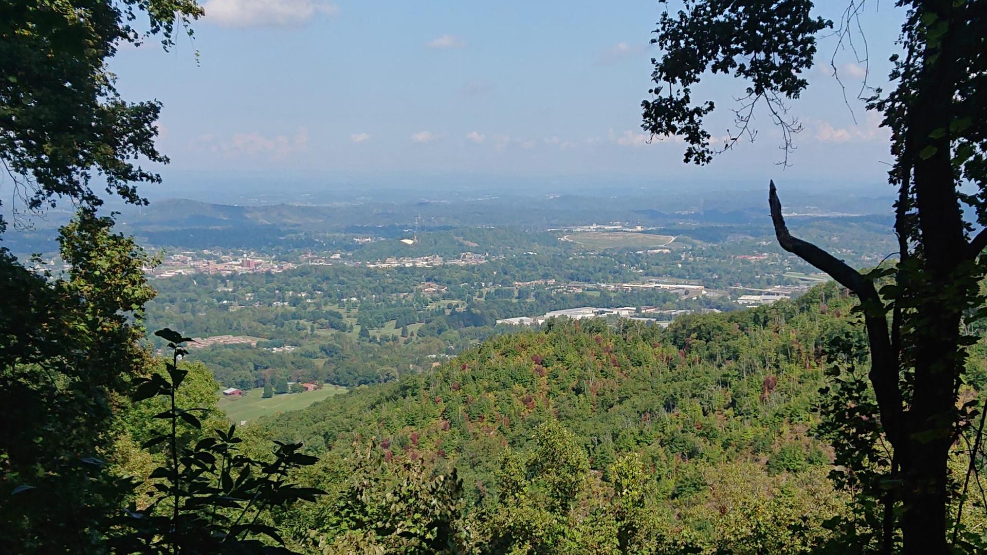 Sunny panoramic view of a green valley and distant town from a forested overlook.