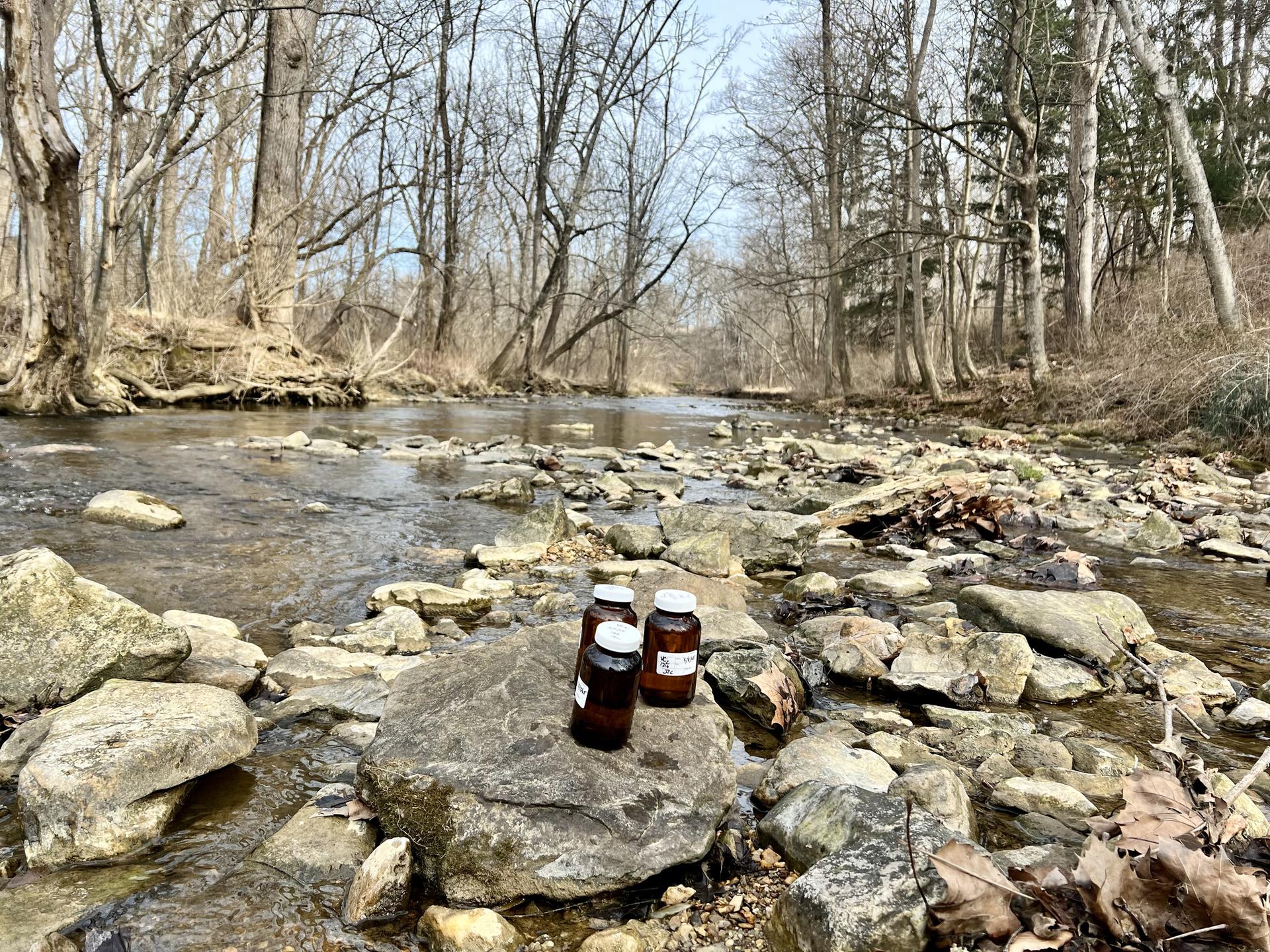 Three bottles on a rock in a shallow, rocky stream with bare trees.