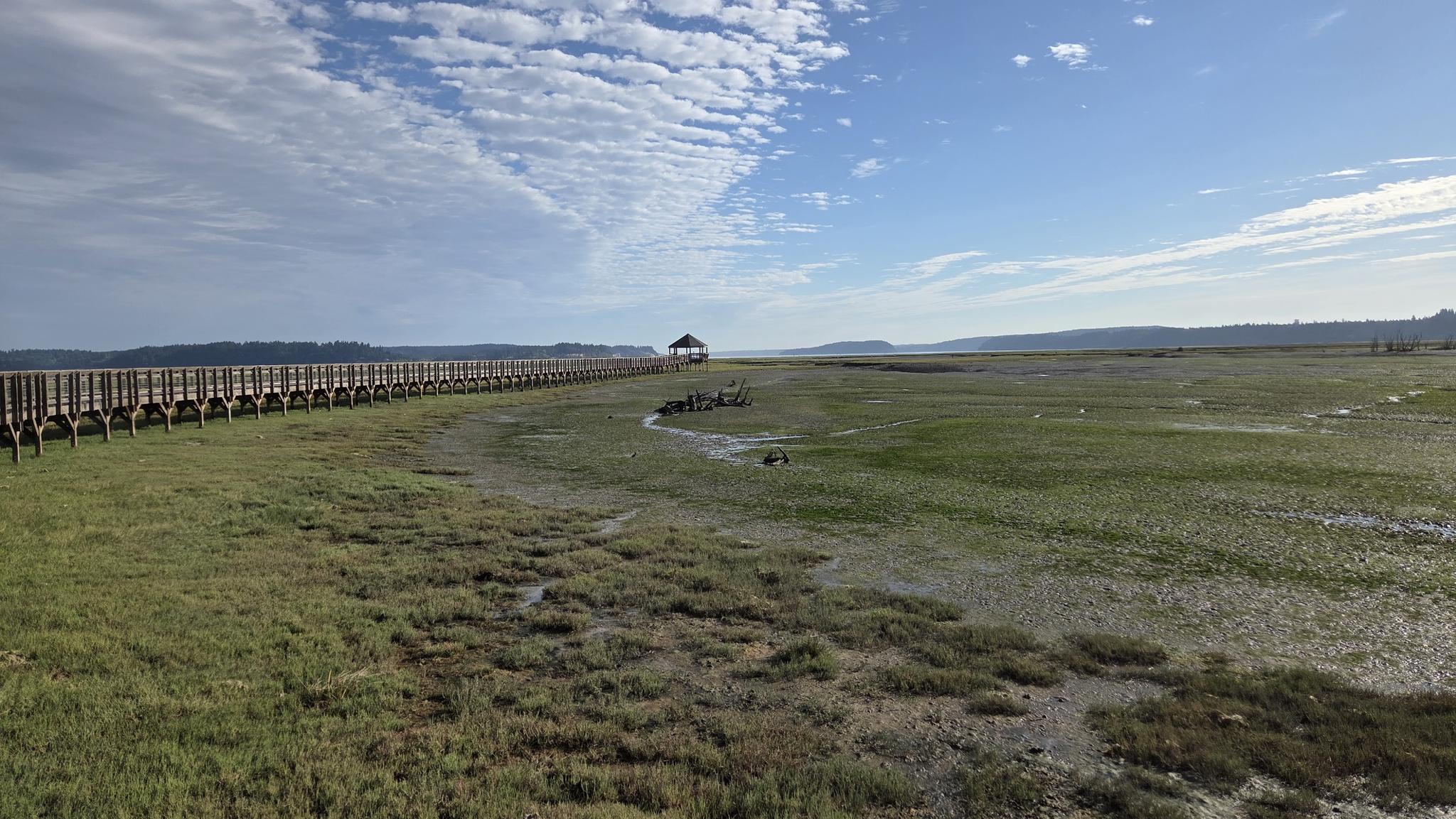 Long wooden boardwalk extends across a grassy marsh to a distant gazebo.