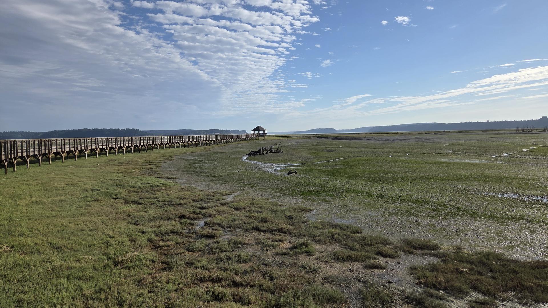 Long wooden boardwalk extends across a grassy marsh to a distant gazebo.