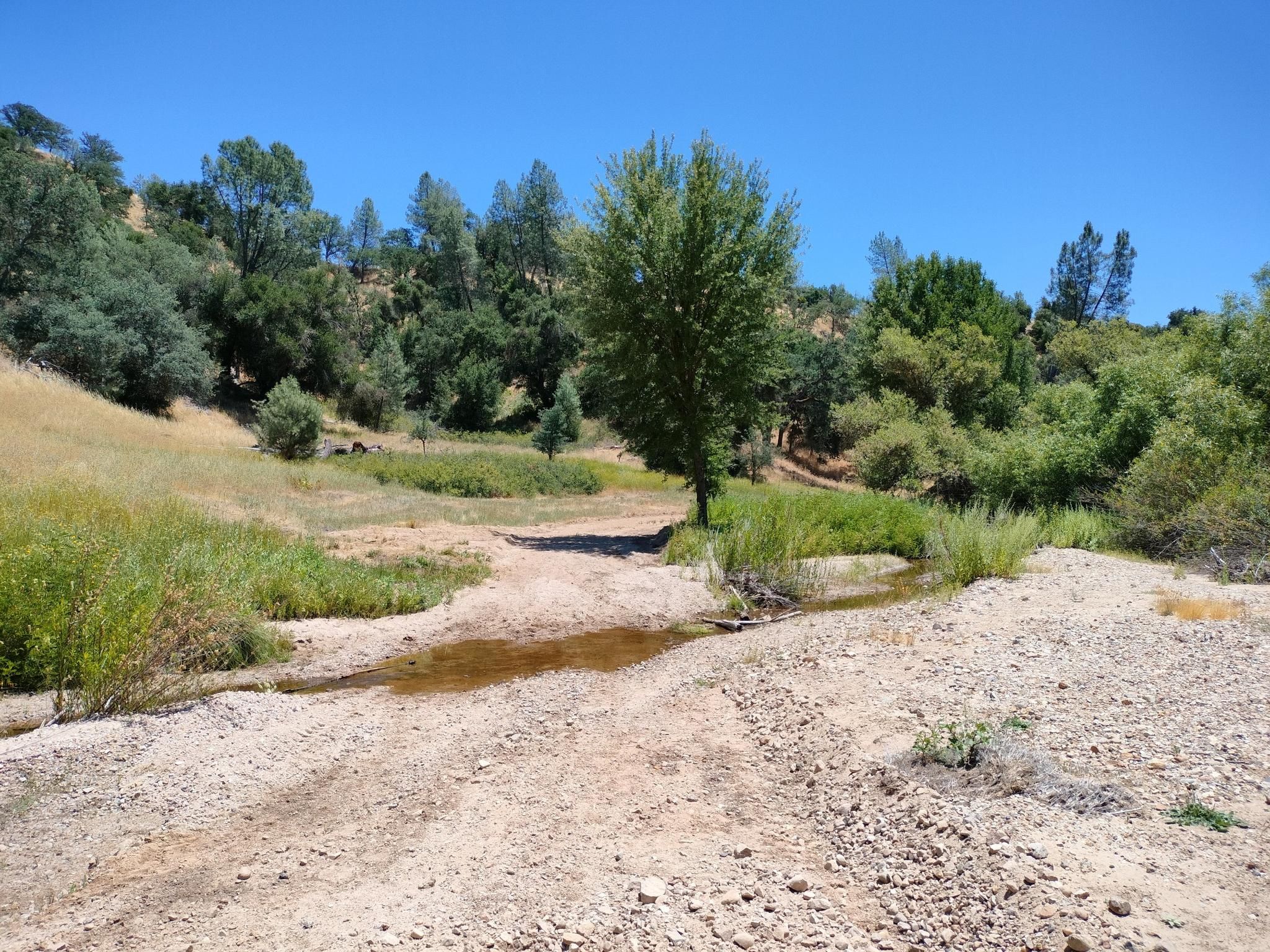 Sunny view of a dry creek bed winding through grassy hills. - Blinn Trail