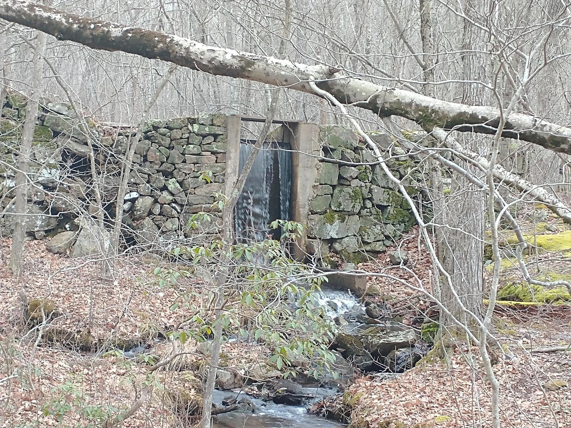 Water flowing through a stone wall in a bare forest, overcast light.