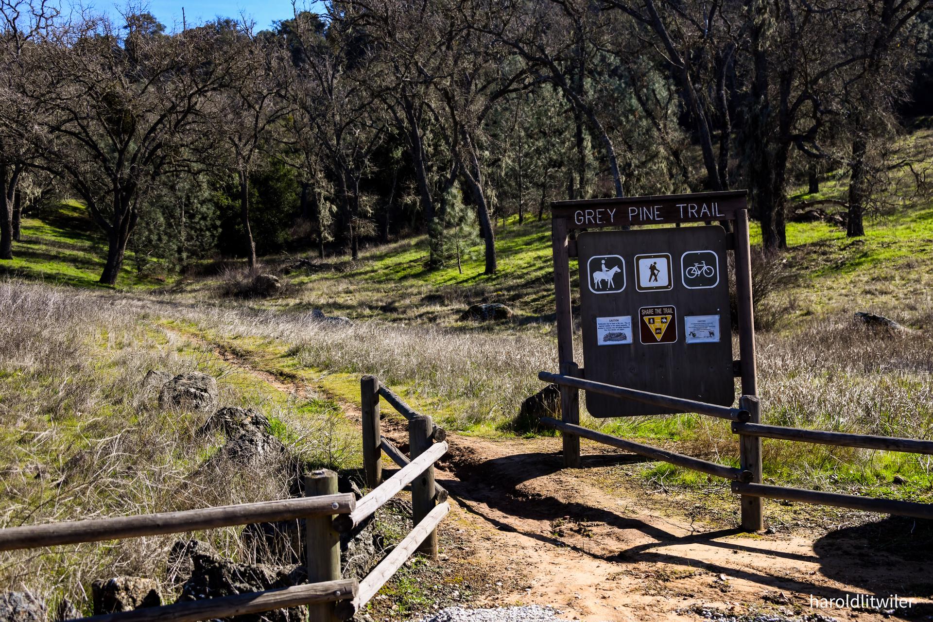 A dirt trail entrance with a wooden sign in a sunny, wooded area.
