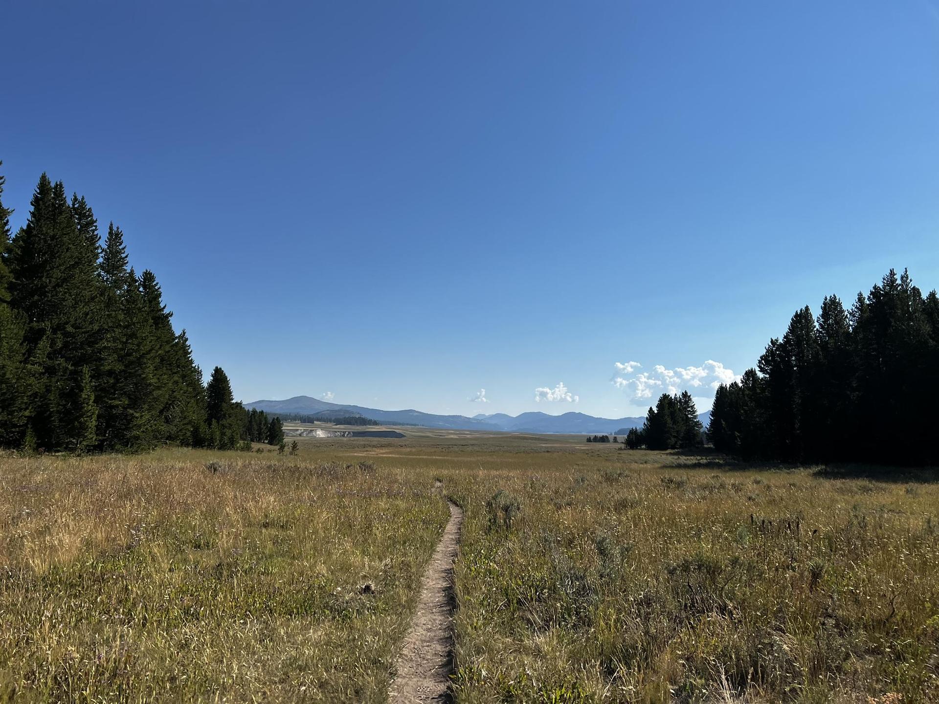 A narrow dirt path winds through a vast sunlit meadow towards distant mountains.