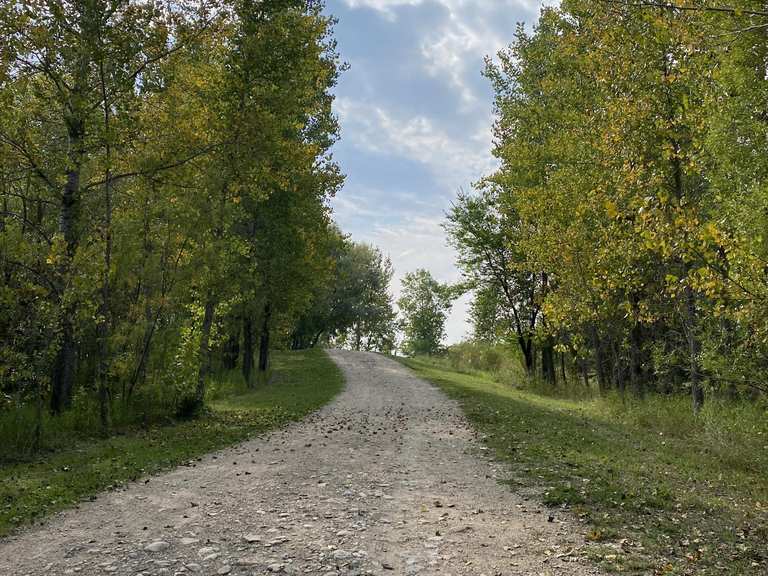 Kingfisher Lake loop via Pine Ridge Trail — Birds Hill Provincial Park ...