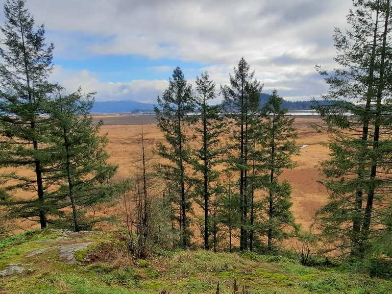 Addington Lookout via Fern Trail — Minnekhada Regional Park | hike | Komoot