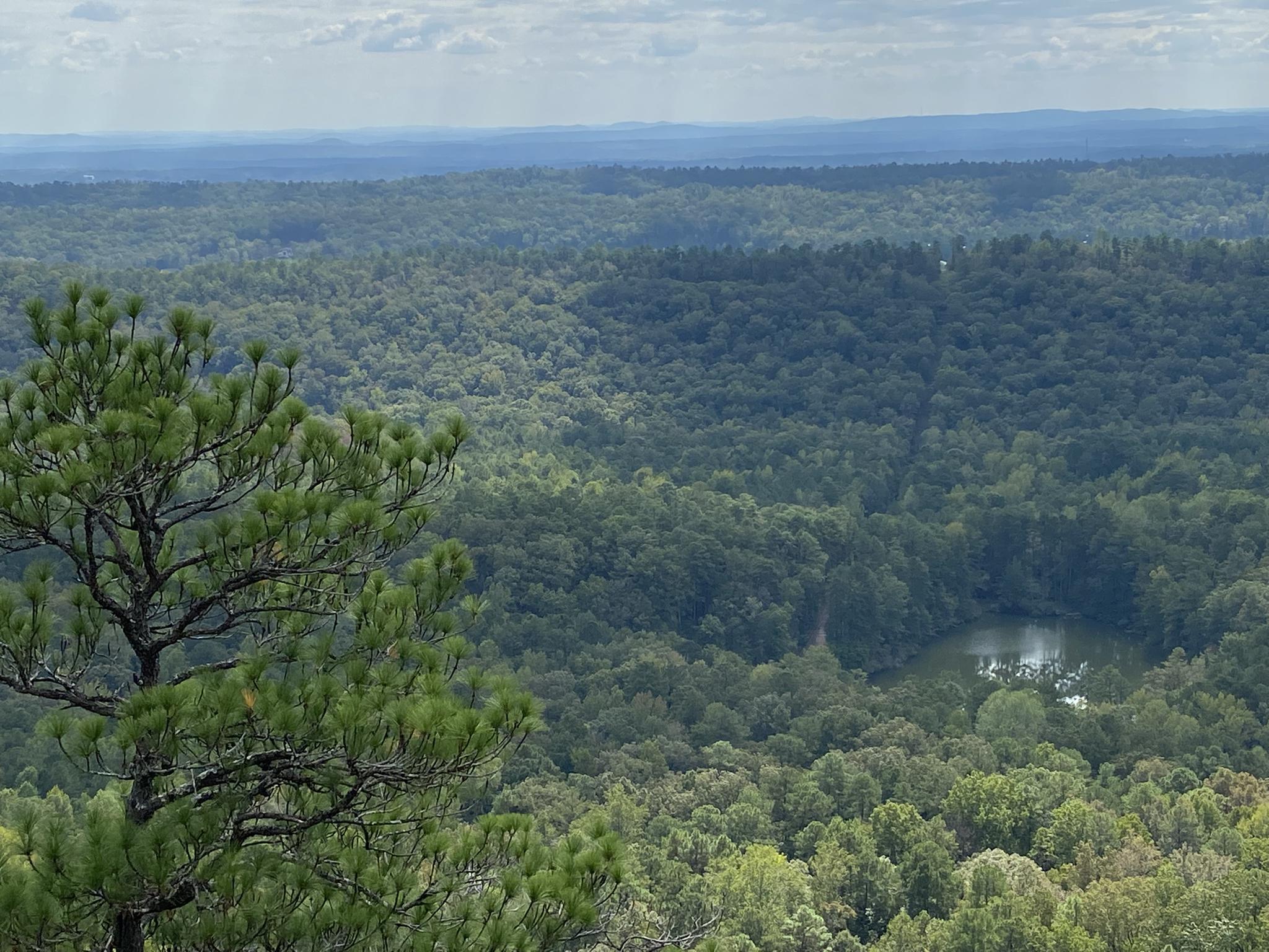 Panoramic view of a vast green forest with a small lake below.