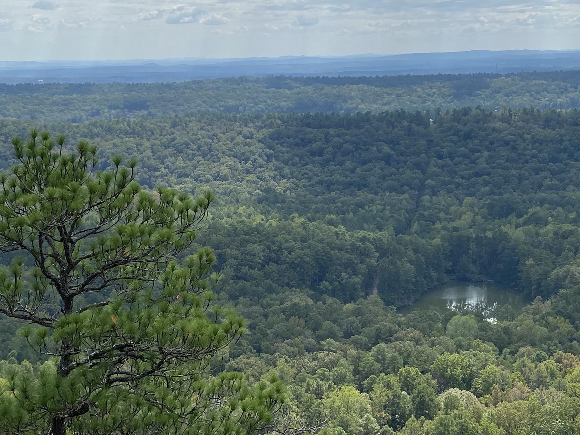Panoramic view of a vast green forest with a small lake below.