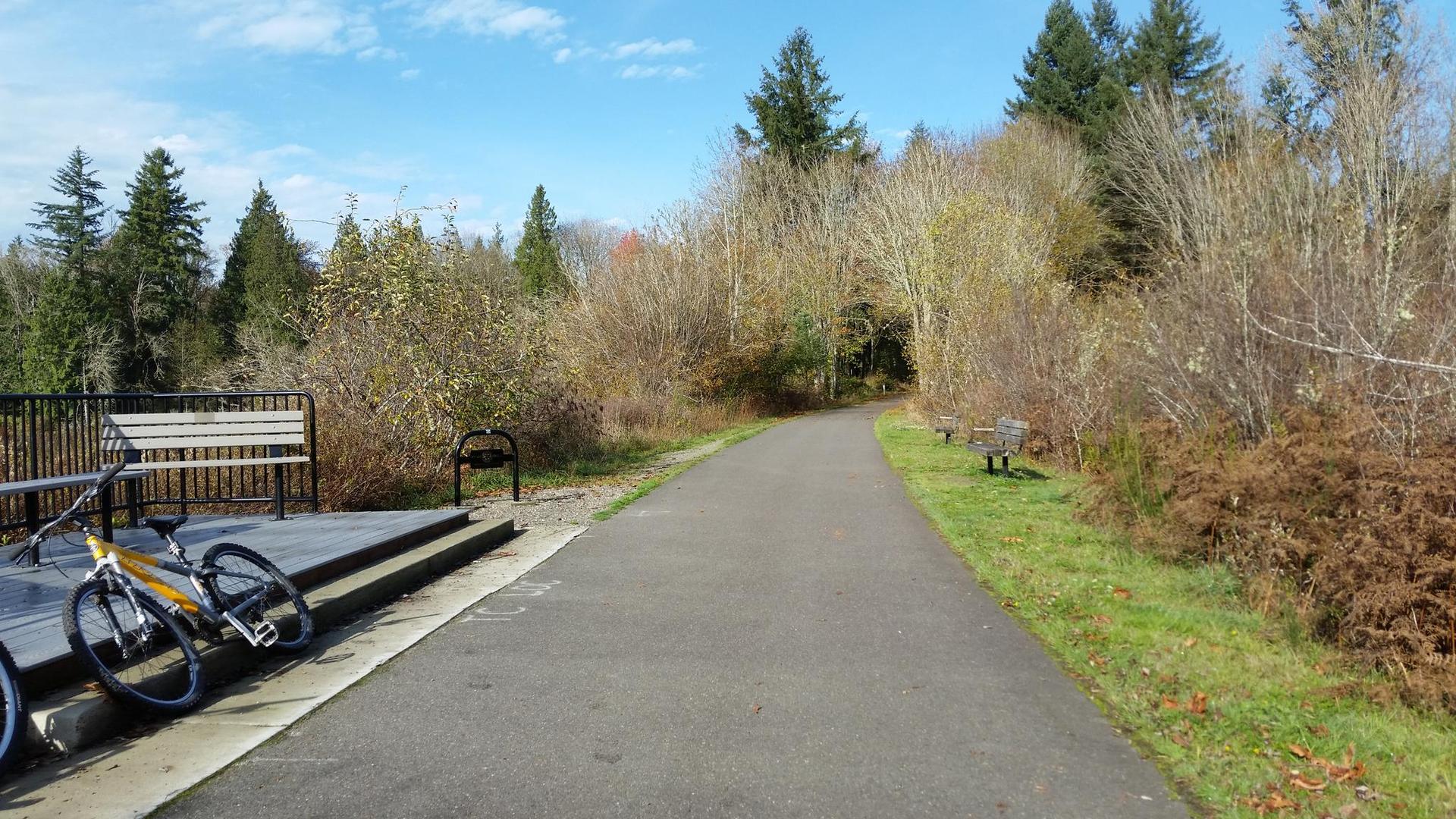 Paved path through autumn woods, bicycle parked on a wooden deck.
