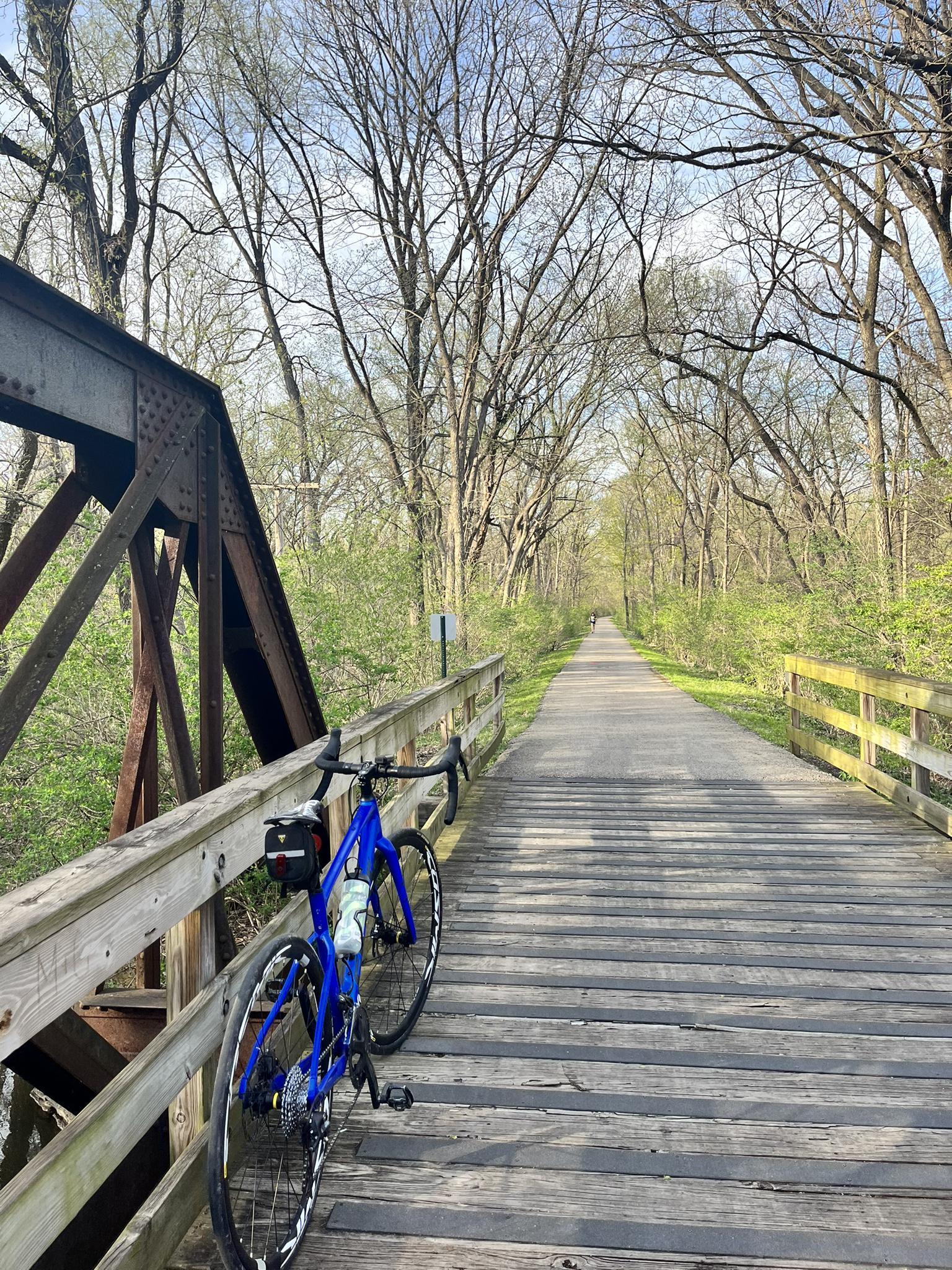 Blue bicycle leans on a wooden bridge leading to a forested path.