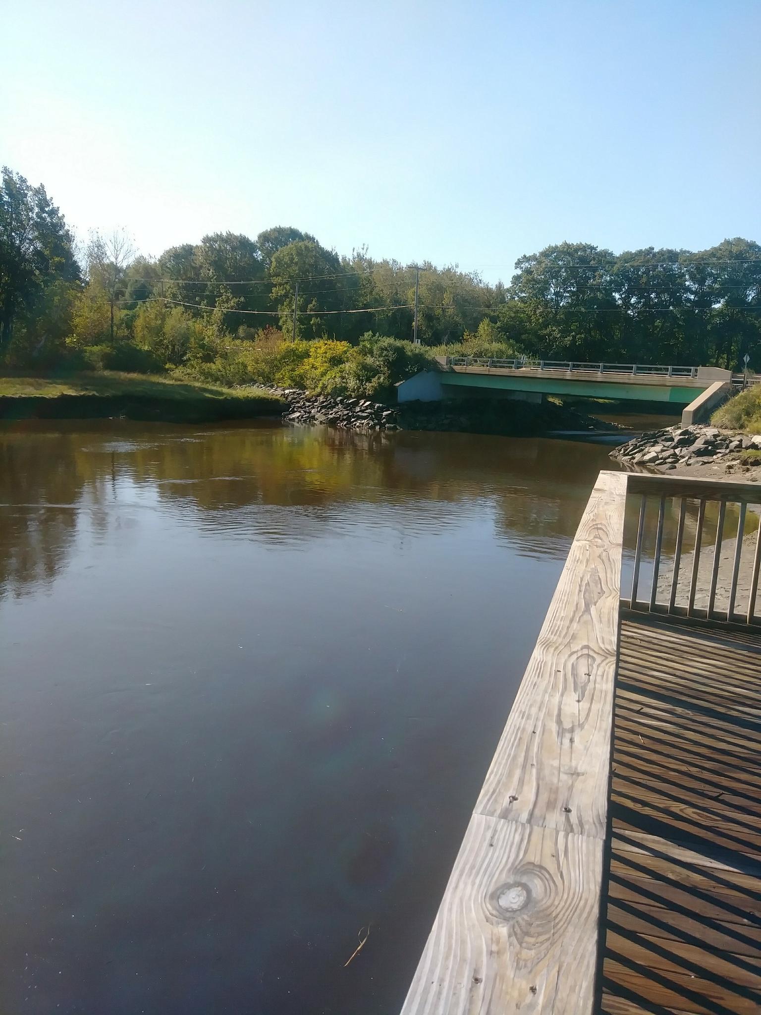 Sunny view of a river from a wooden deck, with a bridge and trees.