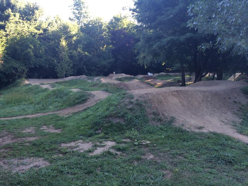 Dirt bike jumps and trails in a grassy area surrounded by green trees.