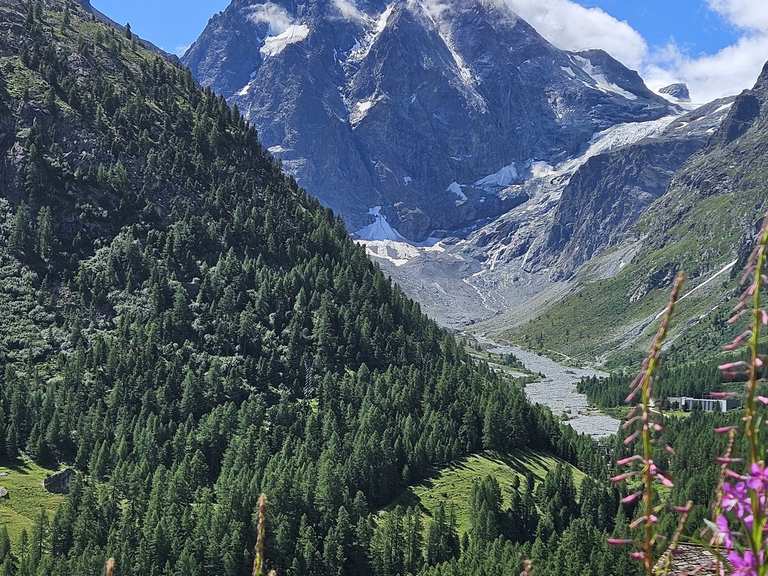 Cabane des Aiguilles Rouges depuis Arolla en boucle | vandring | Komoot
