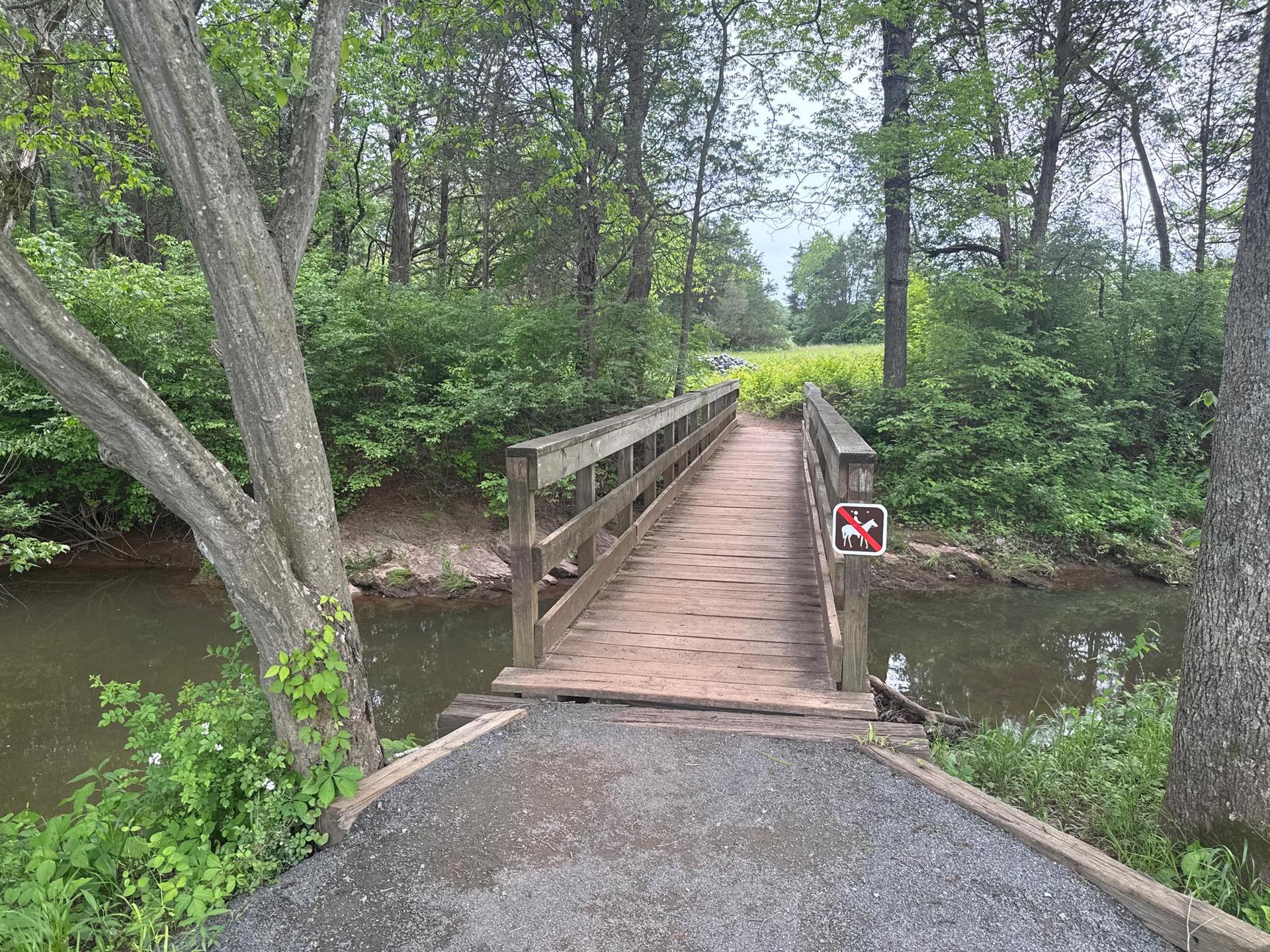 Wooden footbridge over a stream in a lush green forest.