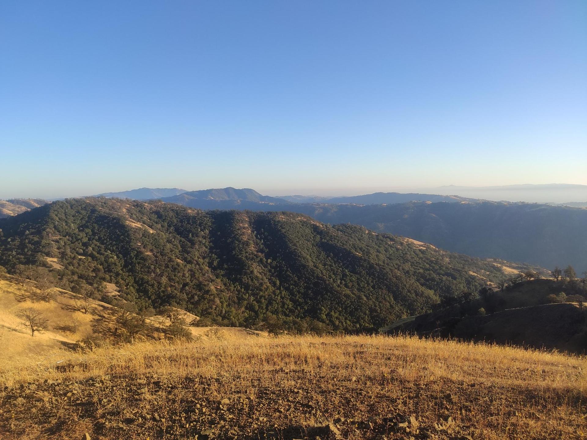 Golden hills in foreground, forested mountains under a clear, hazy sky.