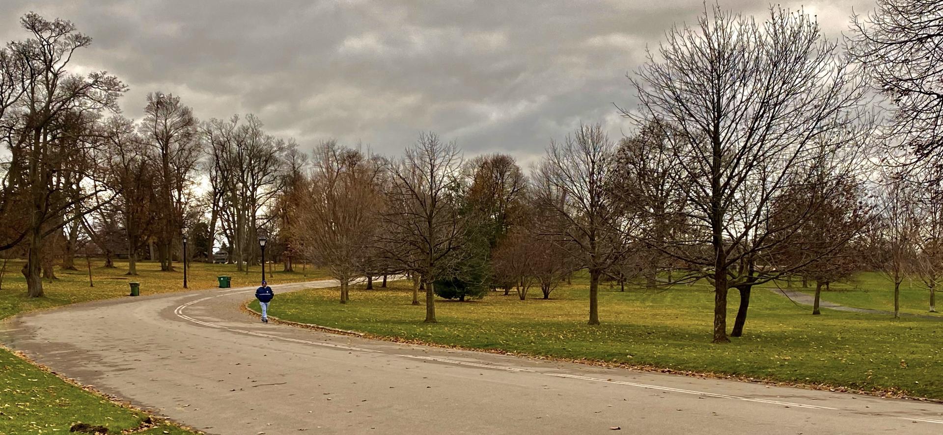 A person walks on a winding path through a park with bare trees.