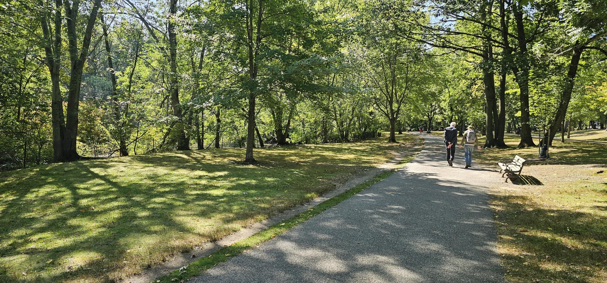Two people walk on a sunny paved path through a green park.