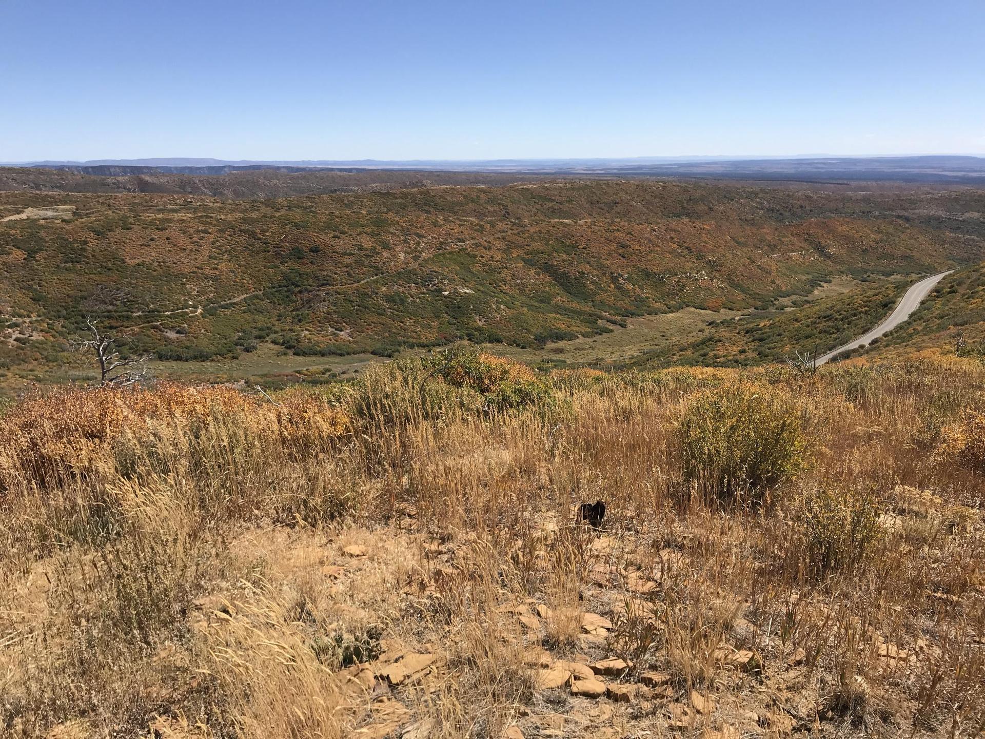 Expansive view of a valley with a distant road, dry grass foreground, clear sky.