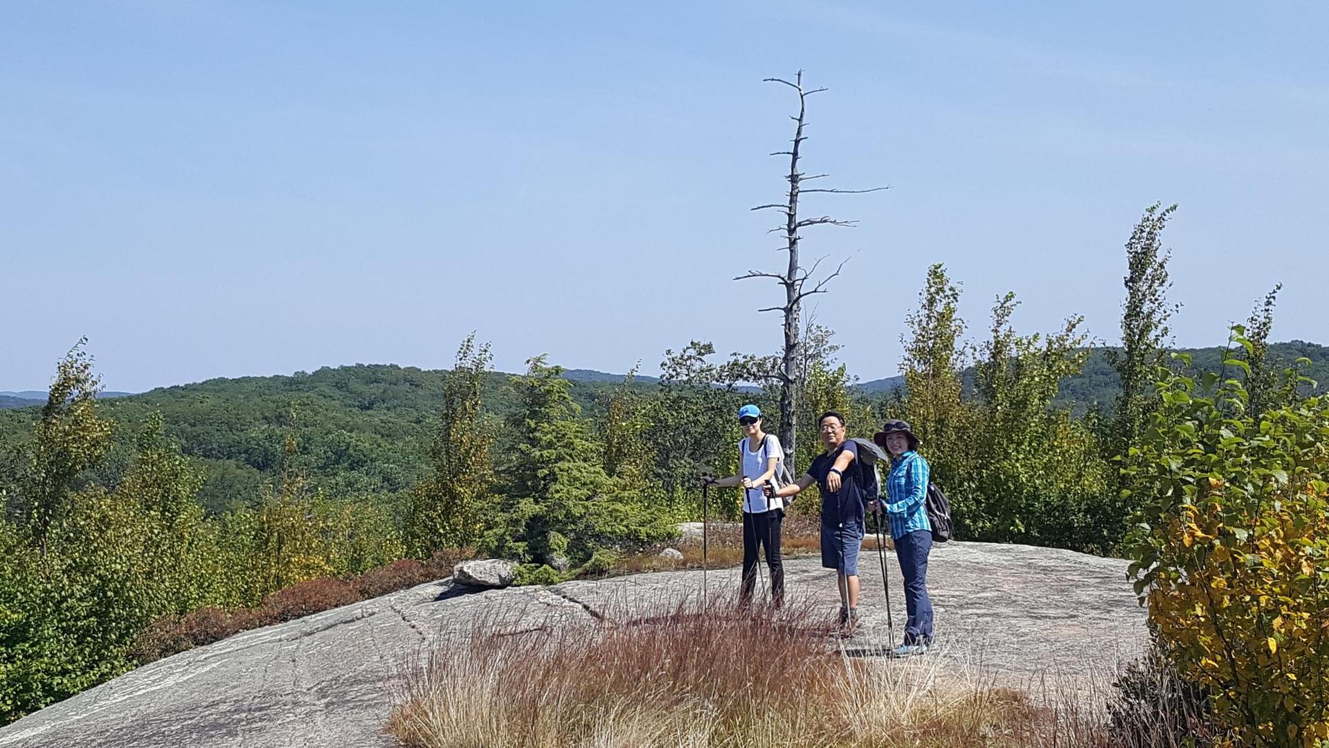 Three hikers stand on a sunny, rocky outcrop overlooking a forest.