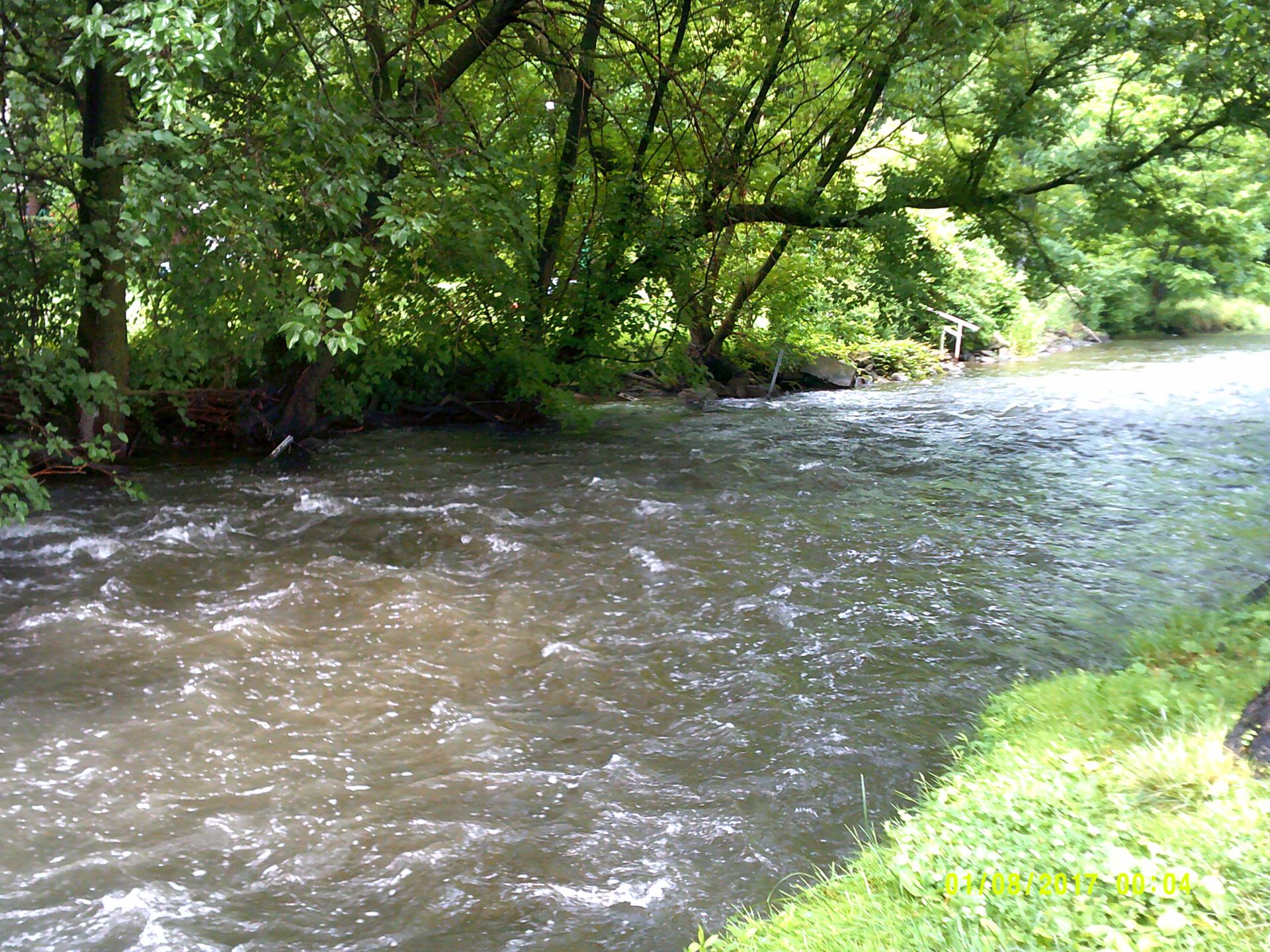 A fast-flowing river with green trees lining its banks on a cloudy day.