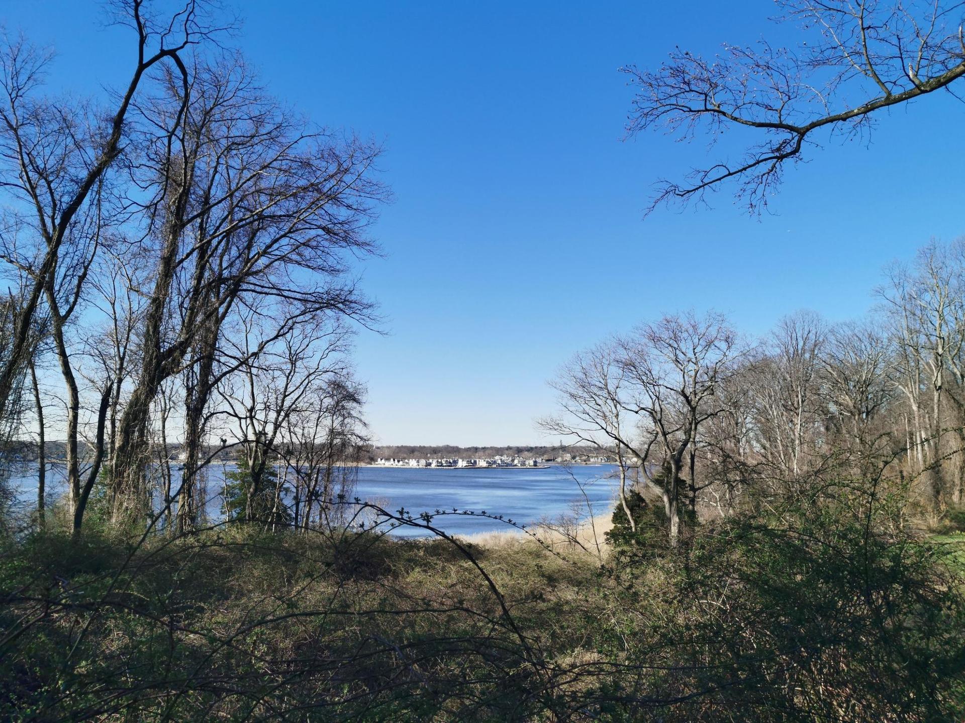 Clear blue sky over water, framed by bare trees and distant shore.