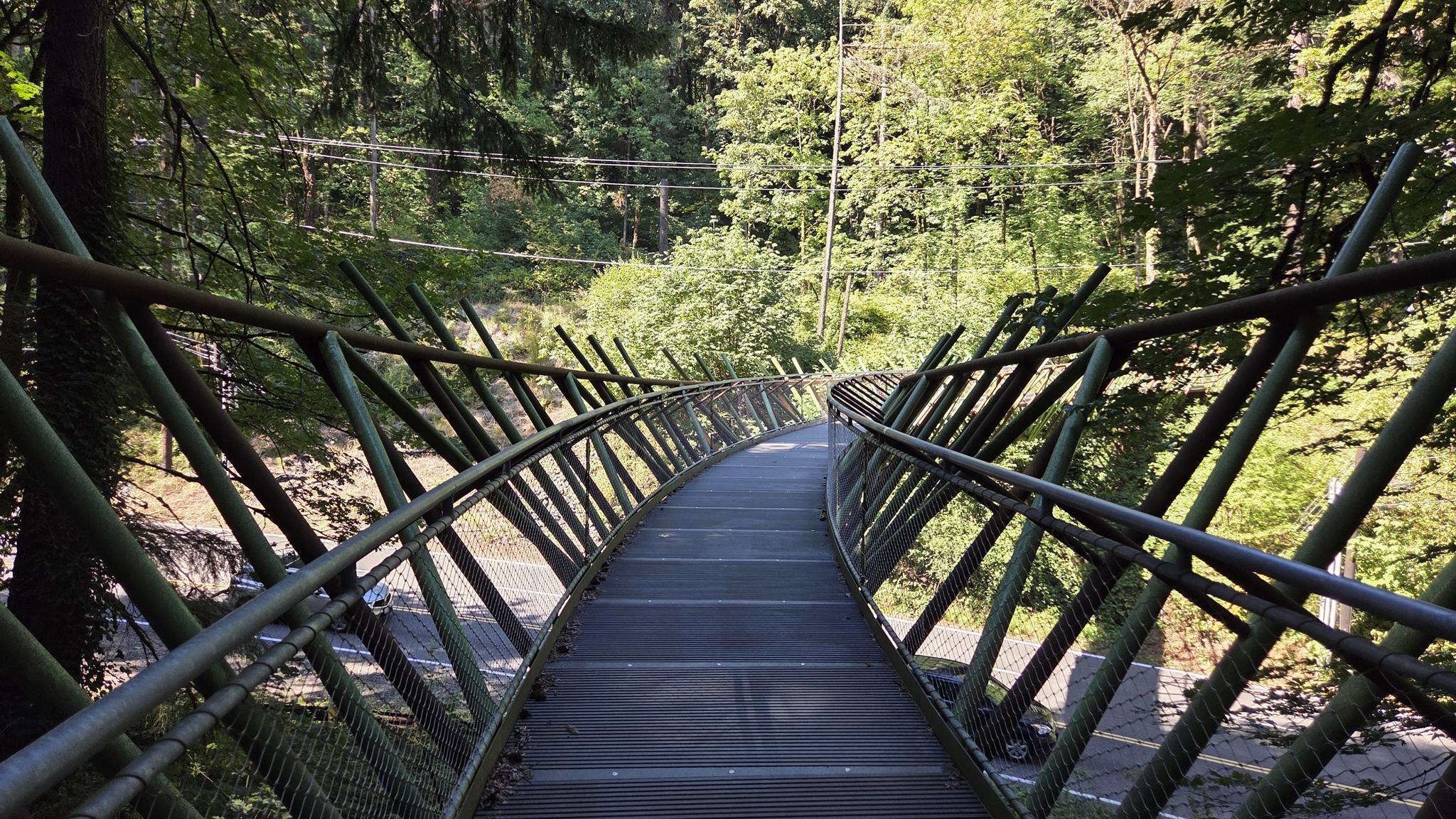 A curved metal pedestrian bridge extends through a green forest.