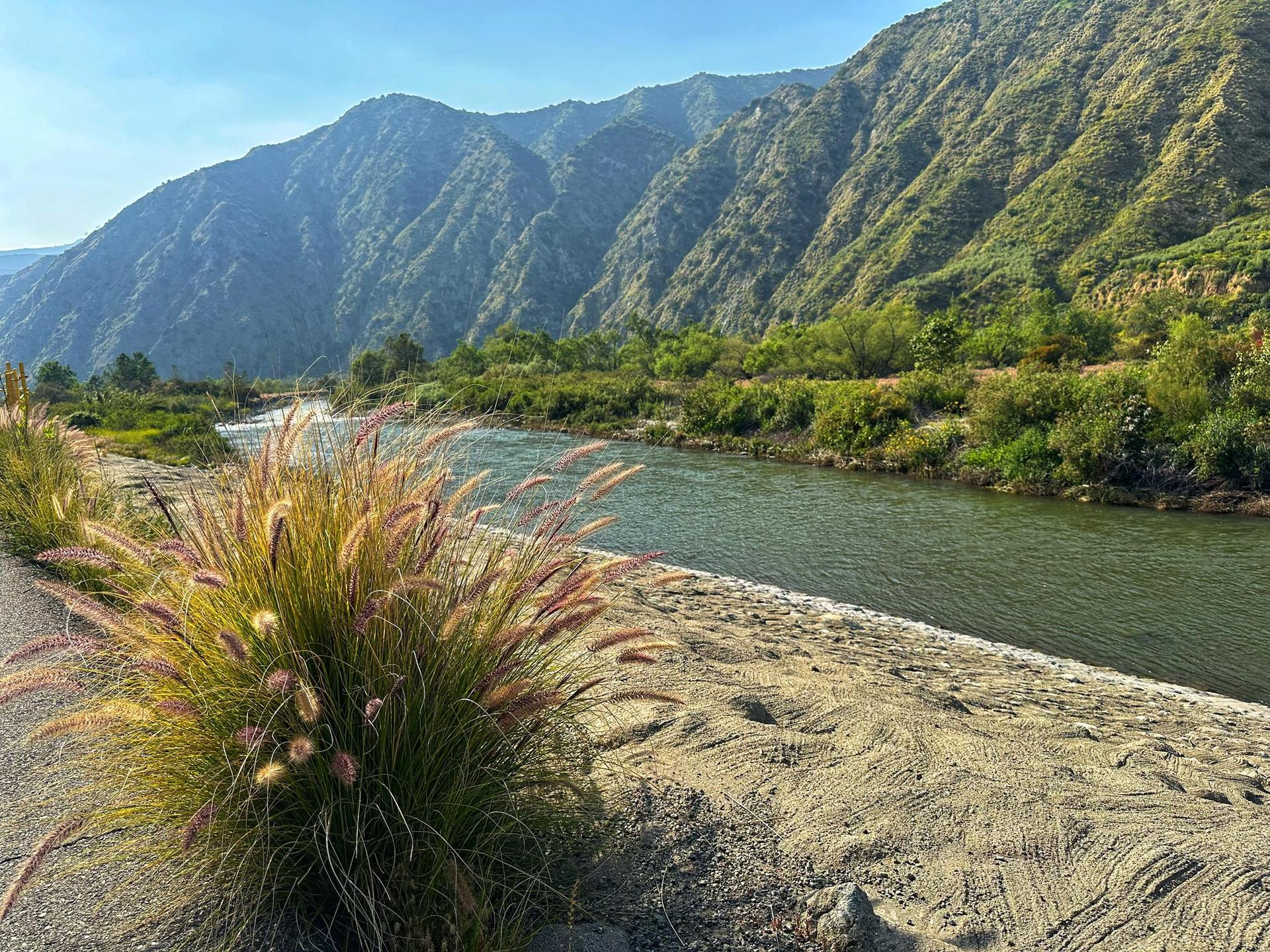 River flowing past a sandy bank with ornamental grass and tall mountains.