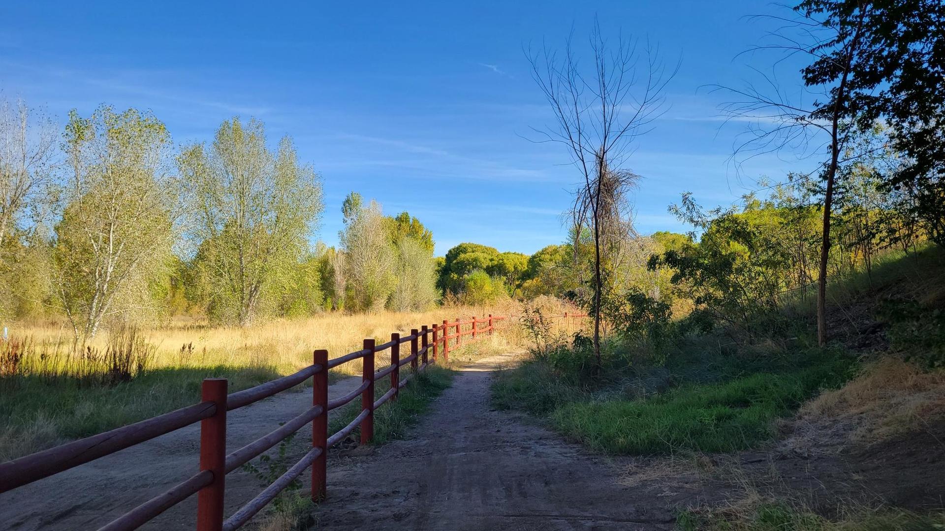 Dirt path alongside a wooden fence, leading through a sunny grassy field.