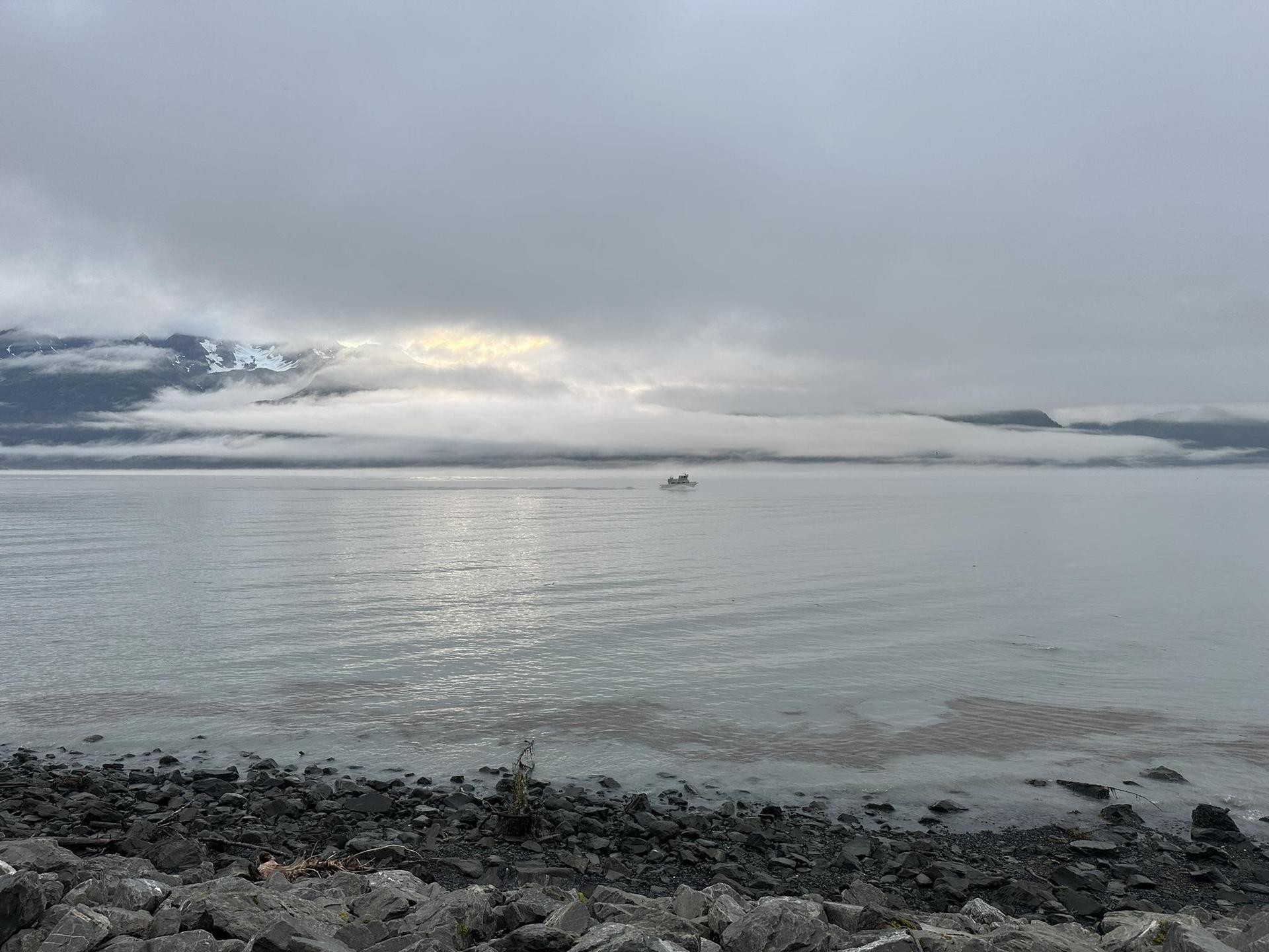 Rocky shore, calm water, and a distant boat under a cloudy, muted sky.