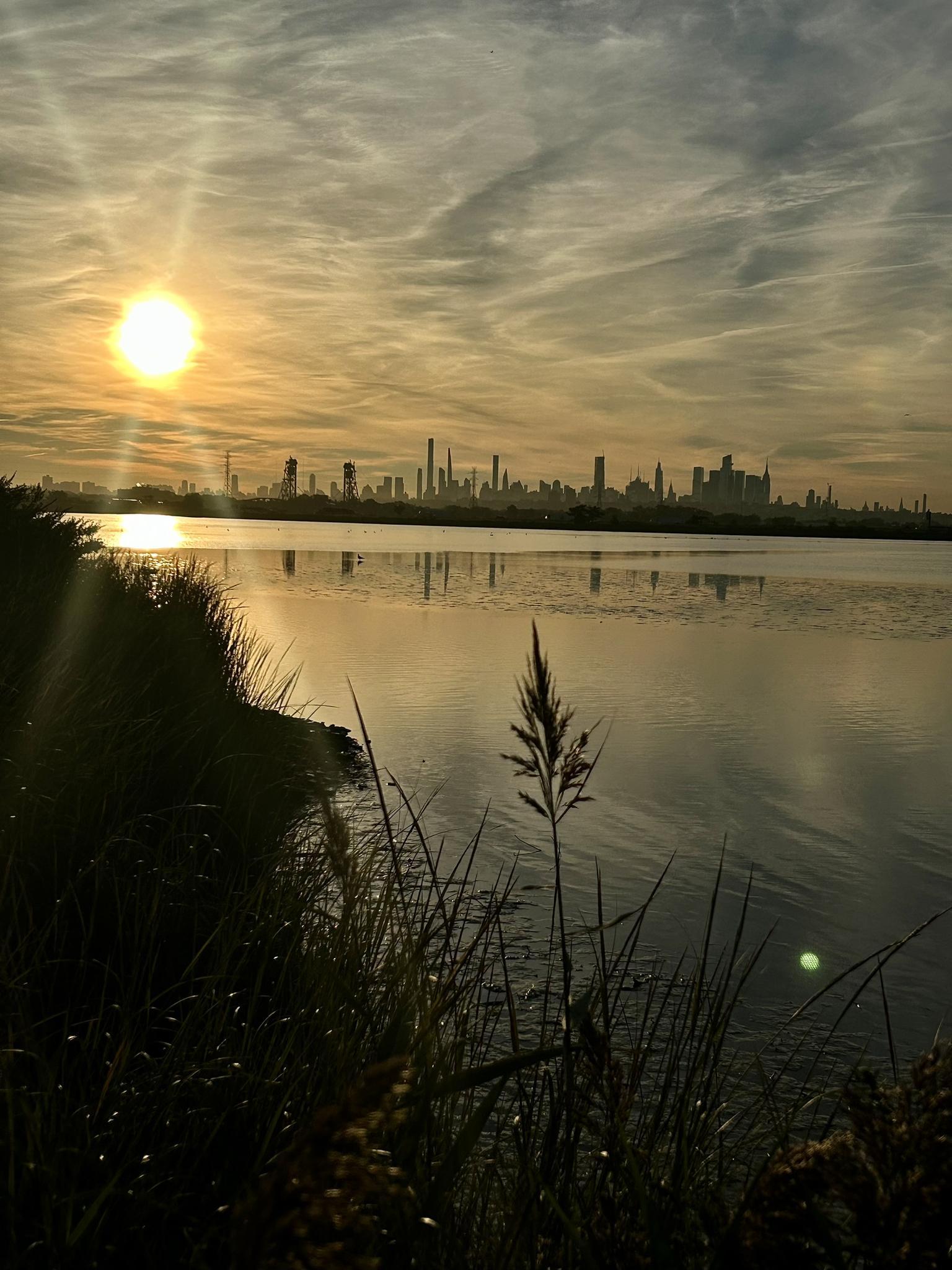Golden sunset over calm water, silhouetted city skyline and tall grasses.