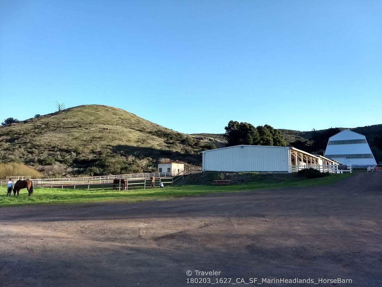 Horses graze in a green pasture near white barns under a clear sky.