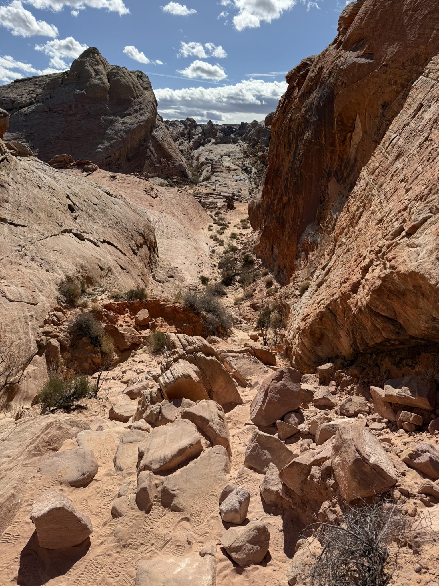 Rocky desert wash between towering red rock cliffs under a partly cloudy sky.
