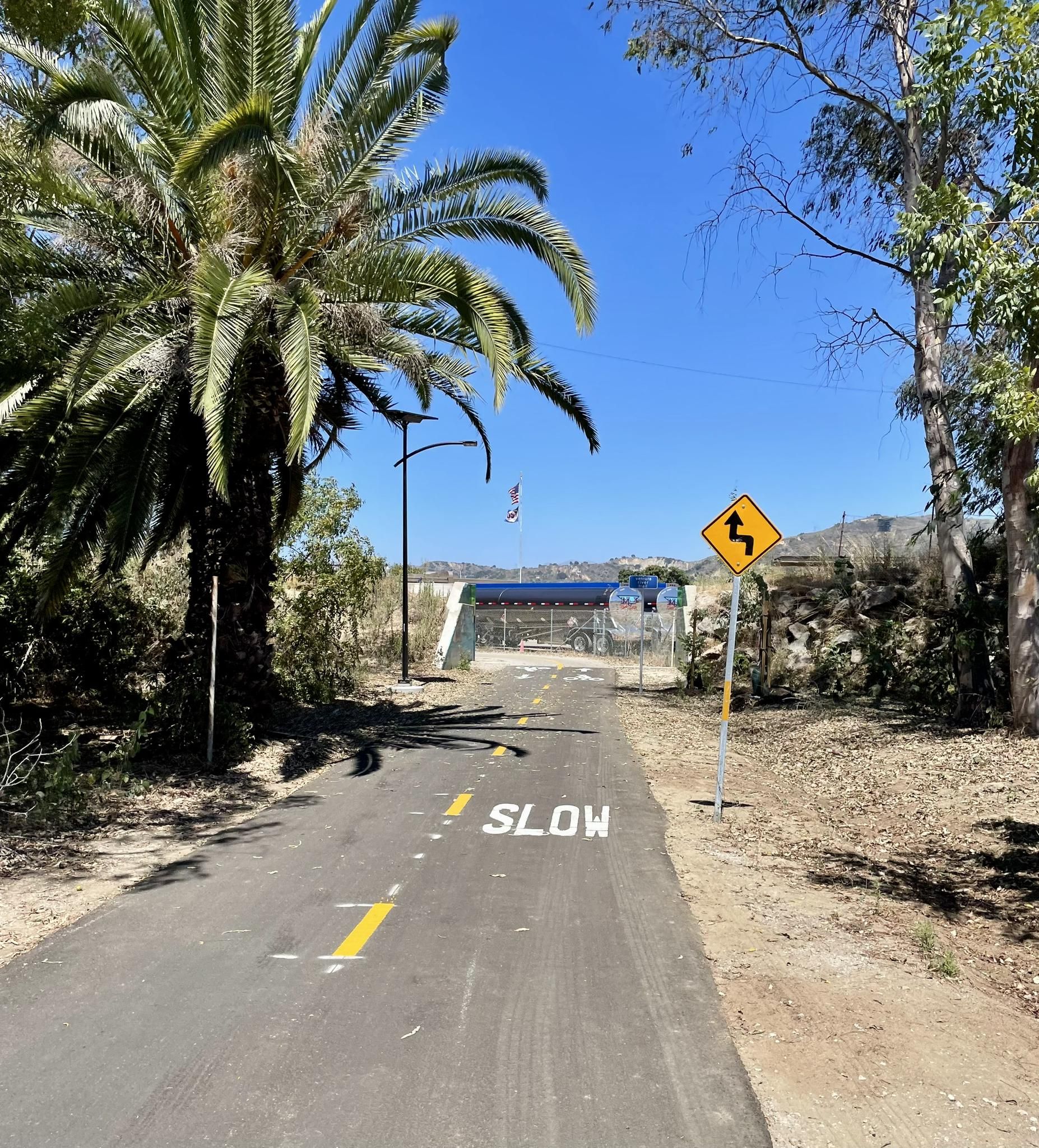 Sunny paved path with 'SLOW' painted, palm tree, and winding road sign. - Ojai - Ventura Bike Path