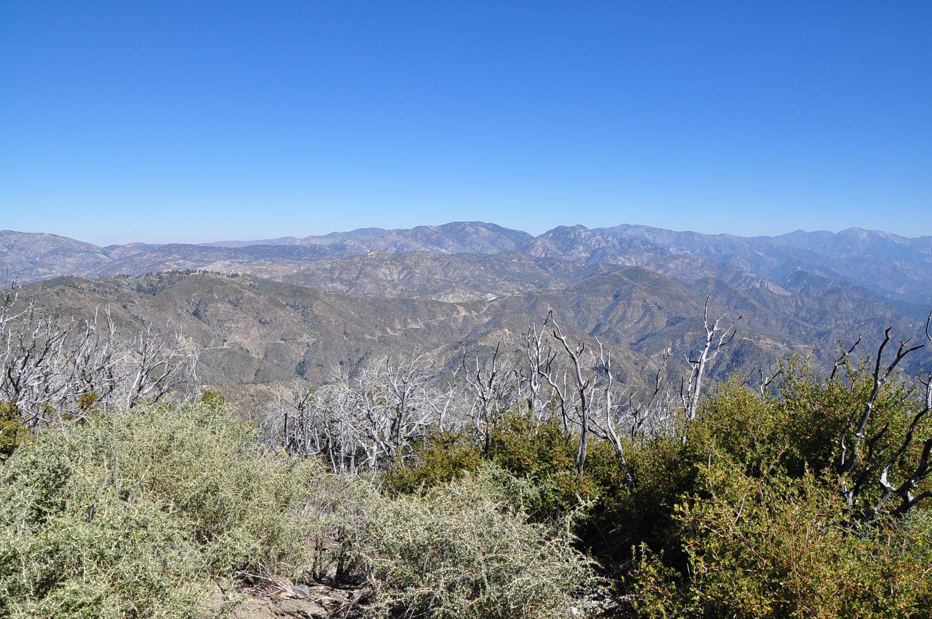 Vast mountain range under a clear blue sky, with dry brush in foreground.