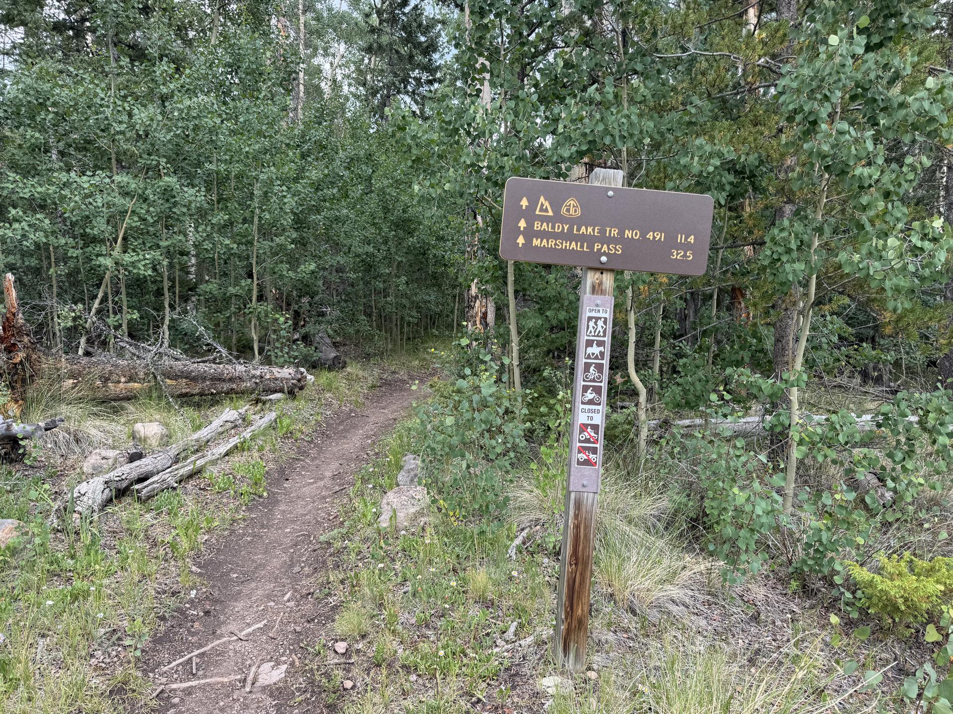 A brown wooden trail sign on a dirt path in a green forest.