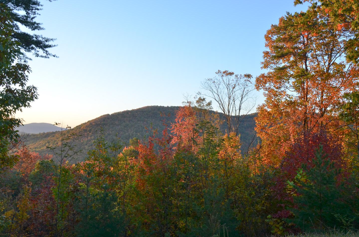 Autumn trees with vibrant foliage cover rolling mountains under a clear sky.