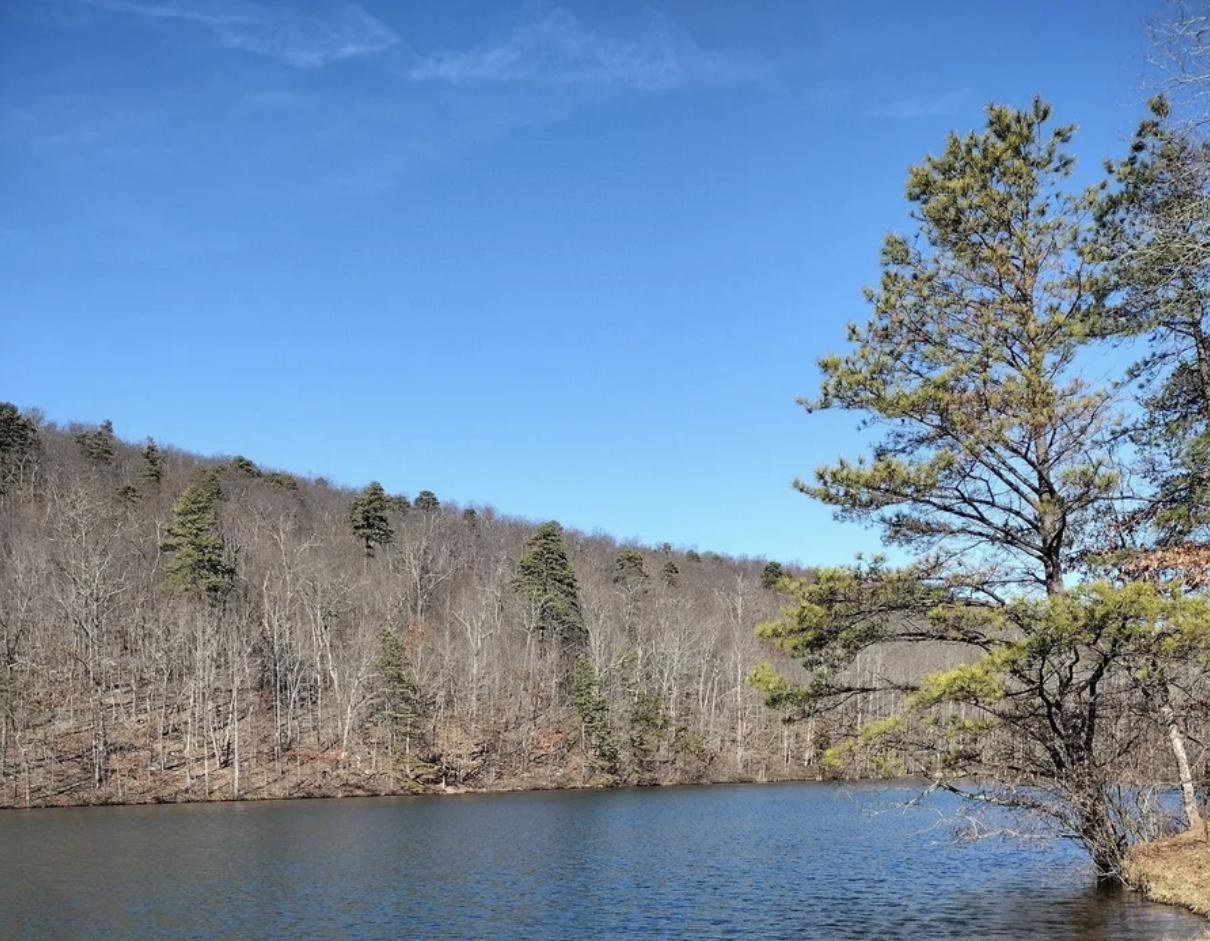 Calm lake reflecting a clear blue sky, surrounded by bare and evergreen trees.