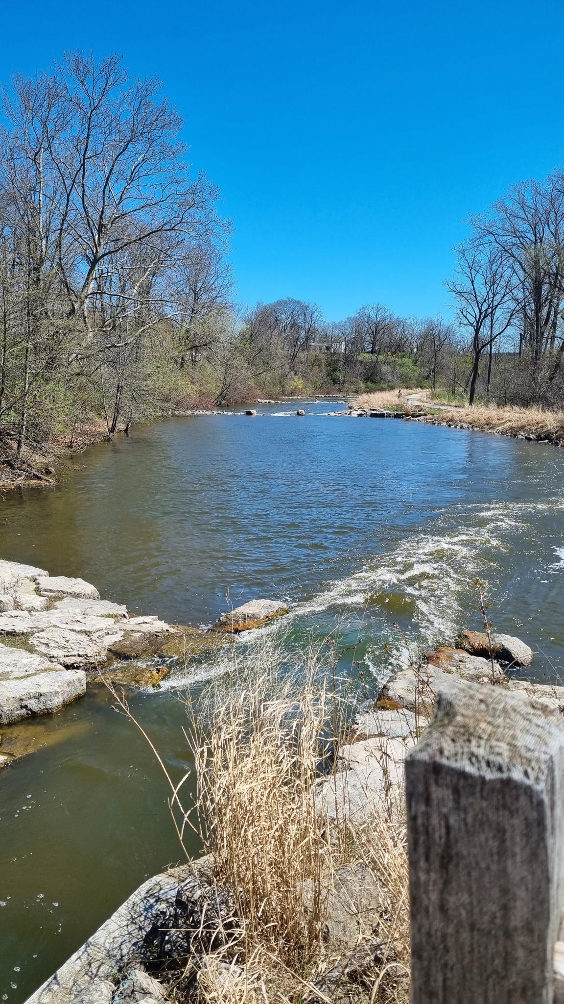 A river with small rapids flows past rocky banks under a bright blue sky.
