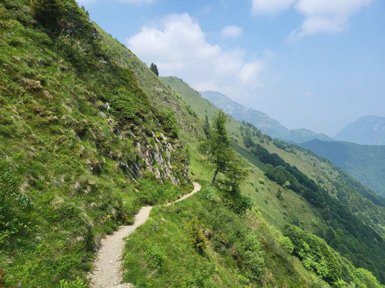 SymSpell/SymSpell.FrequencyDictionary/en-80k.txt at master - GitHub - Guil Press Comedic Hike Pace Vi Thrust Explodes Scotland