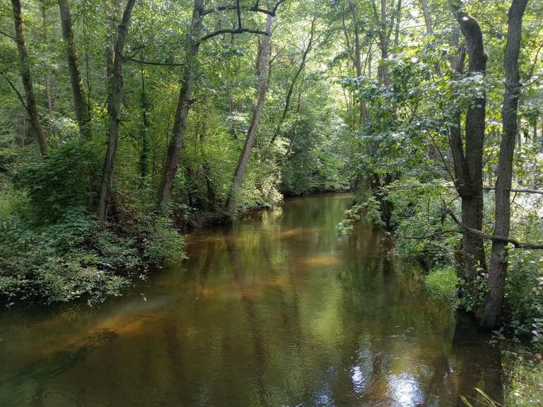 Radunia Gorge Nature Reserve - Routes for Walking and Hiking | Komoot